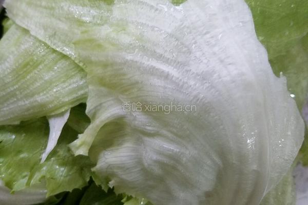 西生菜包糯米饭的做法图解4