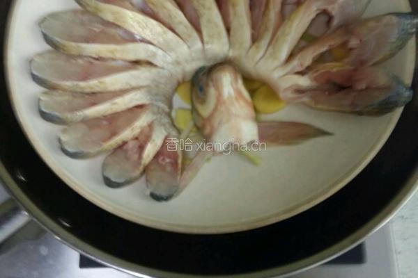孔雀开屏的做法图解4