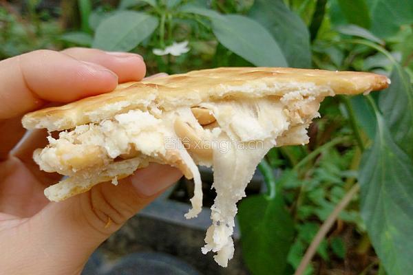 花生牛扎饼干的做法图解16