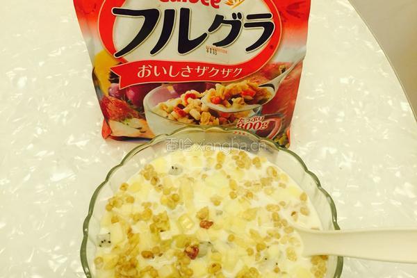 水果燕麦牛奶餐的做法图解2