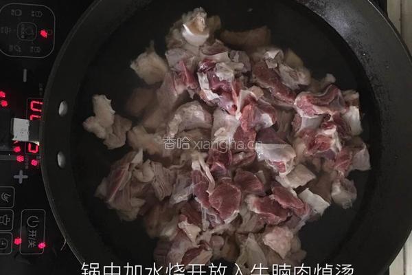 《清炖牛腩冬瓜汤》的做法图解4