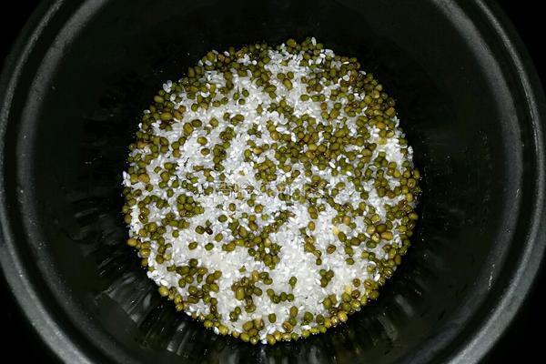 绿豆焖饭的做法图解4