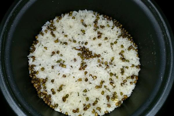 绿豆焖饭的做法图解7