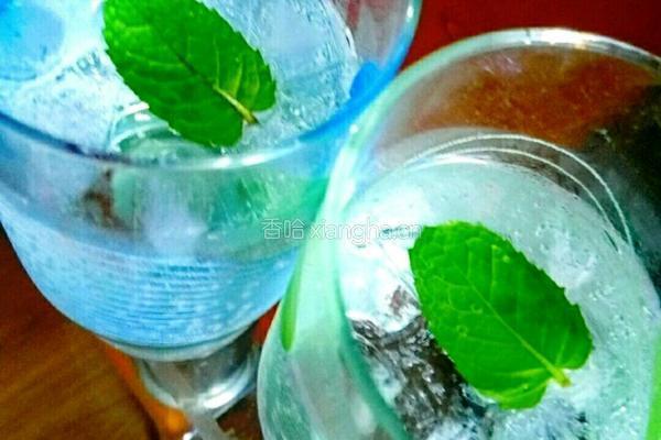 水果苏打水的做法图解6