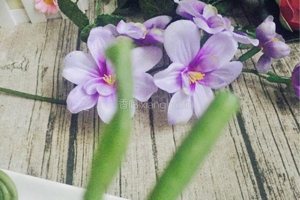 孜然香棒棒糖豇豆的做法图解4