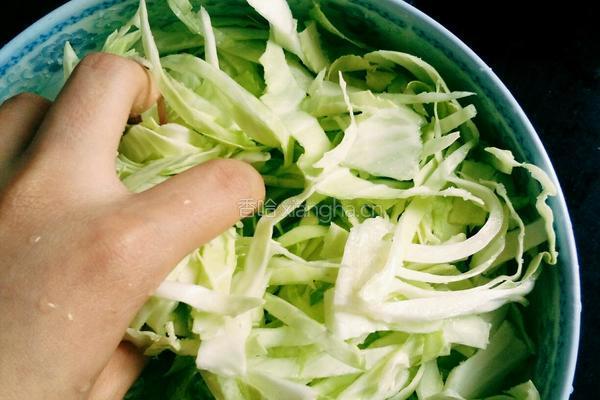 腌制包菜的做法图解2