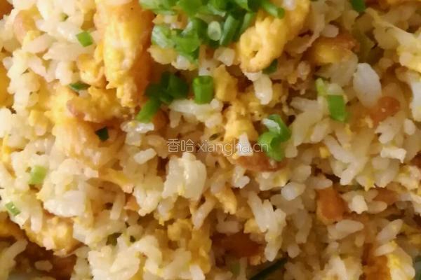 葱花鸭蛋饭的做法图解6