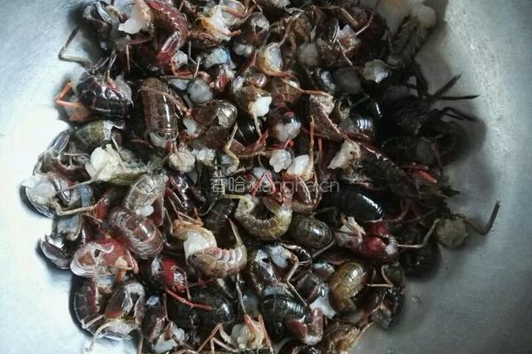 长沙口味虾的做法图解1