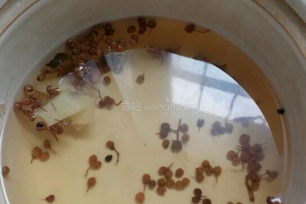 泡菜的做法图解2