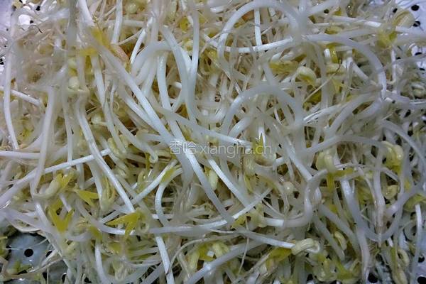 凉拌绿豆芽的做法图解1