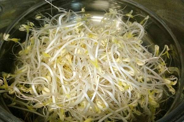 凉拌绿豆芽的做法图解6