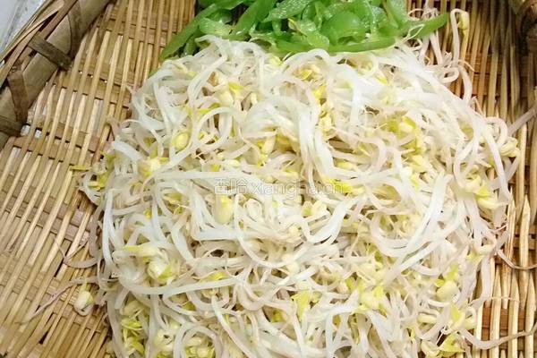 凉拌绿豆芽的做法图解8