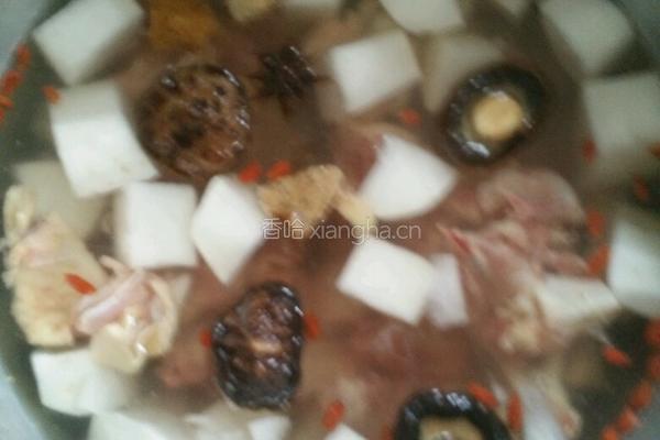 鸡肉萝卜汤的做法图解7
