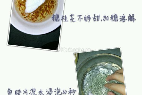 抹茶桂花冻的做法图解2