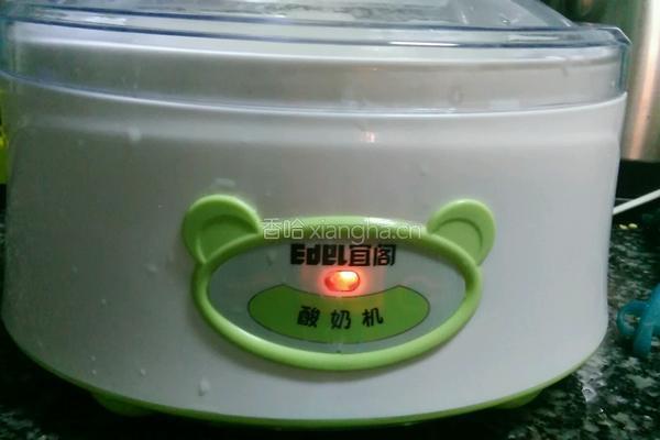 酸奶的做法图解4