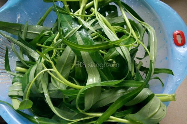 豆酱空心菜的做法图解1