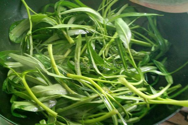 豆酱空心菜的做法图解4