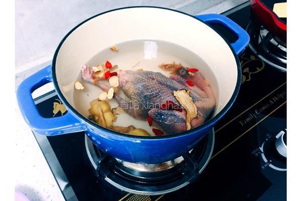 药膳鸽子汤的做法图解3