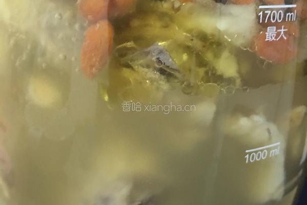 鱼胶鸡汤的做法图解9