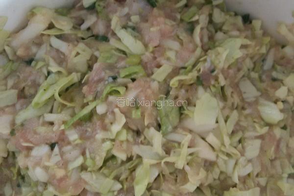 健康白菜肉包的做法图解8