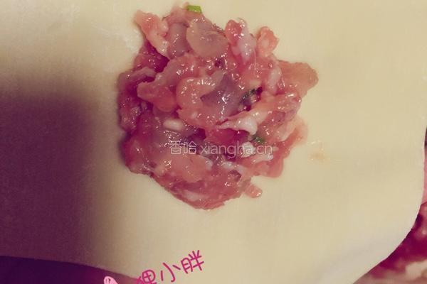鲜肉虾仁馄饨的做法图解9
