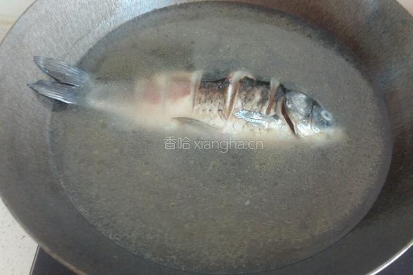 鲫鱼豆腐汤的做法图解5