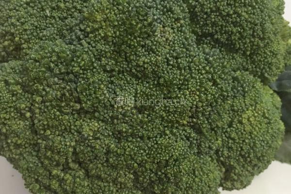 水果蔬菜沙拉的做法图解1