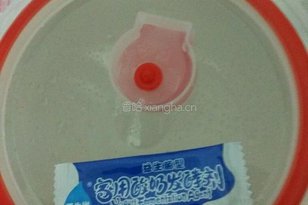 家庭自制手工酸奶DIY的做法图解3