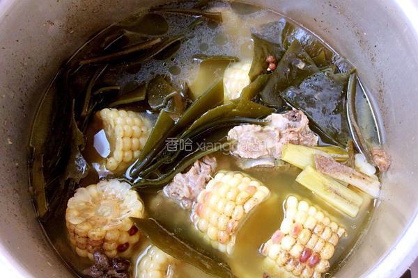 排骨炖玉米海带汤的做法图解8