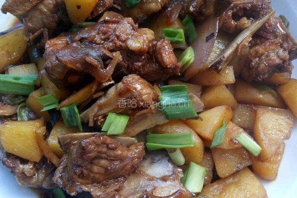 土豆烧排骨的做法图解13