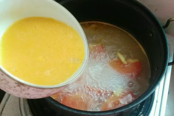 番茄鸡蛋汤的做法图解7