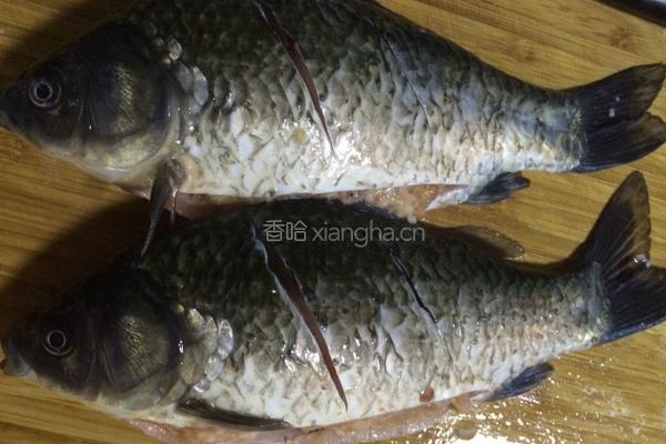 鲫鱼豆腐汤的做法图解7