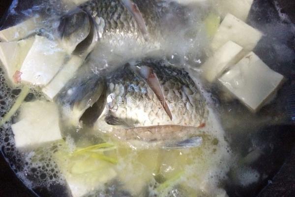 鲫鱼豆腐汤的做法图解11