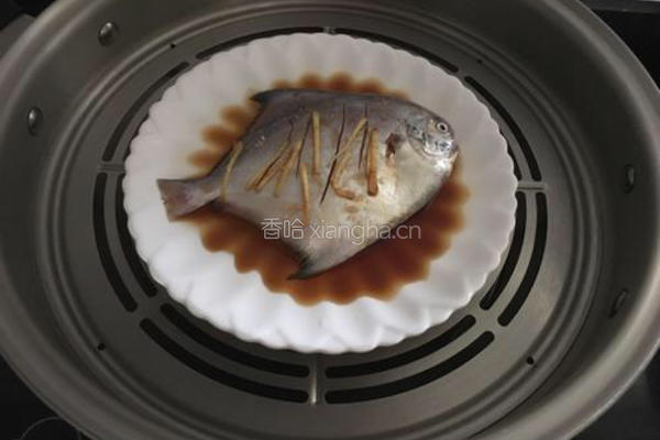 清蒸海鲳鱼的做法图解4