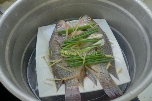 清蒸罗非鱼的做法图解5