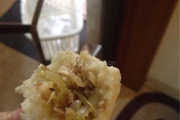 椰菜猪肉包子的做法图解13