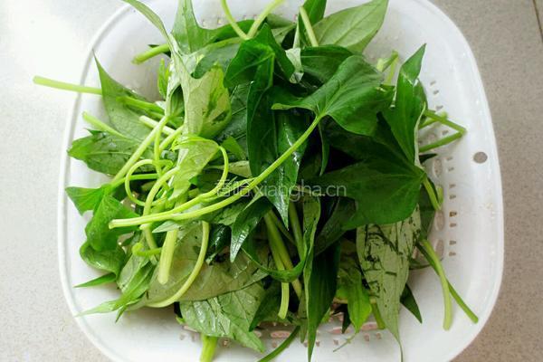 蒜香薯叶的做法图解2