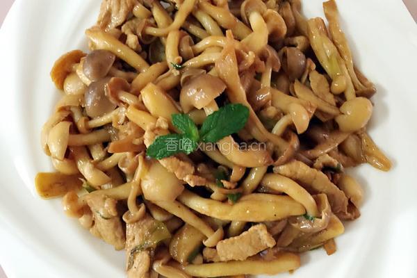 肉炒双菇的做法图解8