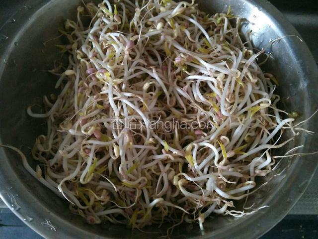 豆芽洗净