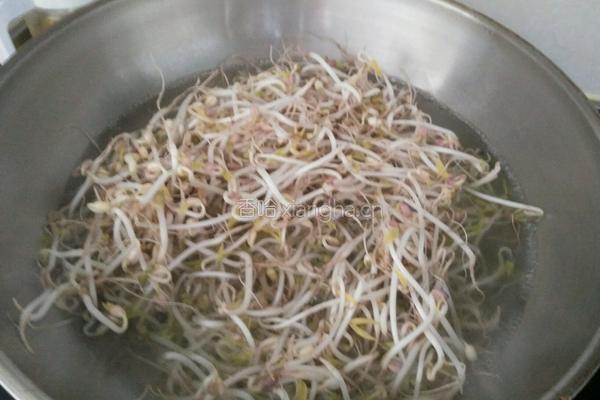 凉拌豆芽的做法图解2