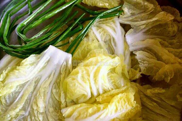 娃娃菜裹肉卷的做法图解2