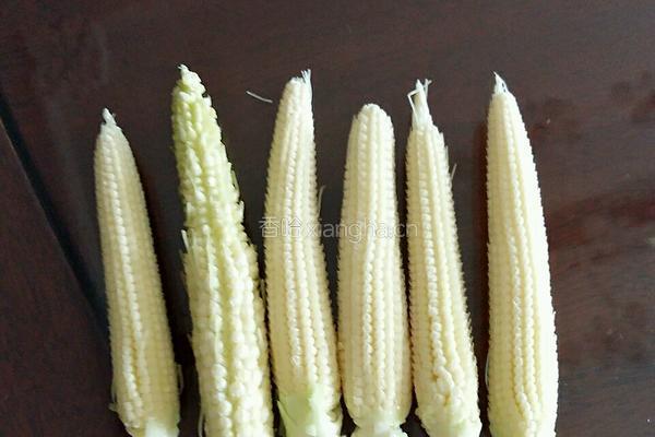 珍珠玉米的做法图解9