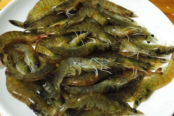 蒜蓉粉丝蒸虾的做法图解2