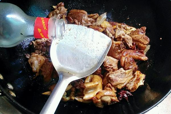 五香焖鸭的做法图解7