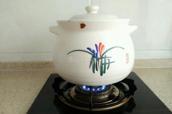 苹果银耳莲子羹的做法图解3