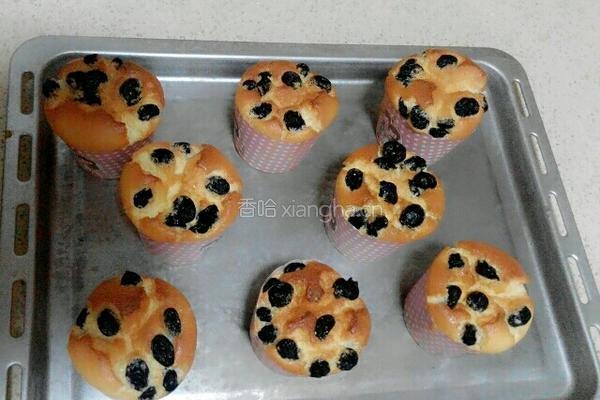 纸杯橙味提子蛋糕的做法图解20