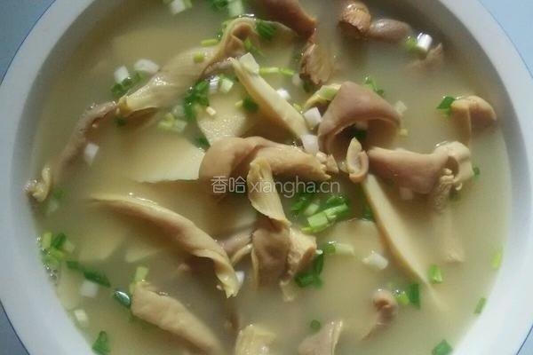 鲜笋煲肚条的做法图解1