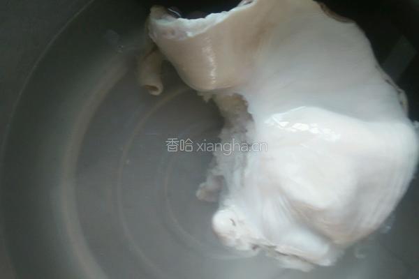 鲜笋煲肚条的做法图解6