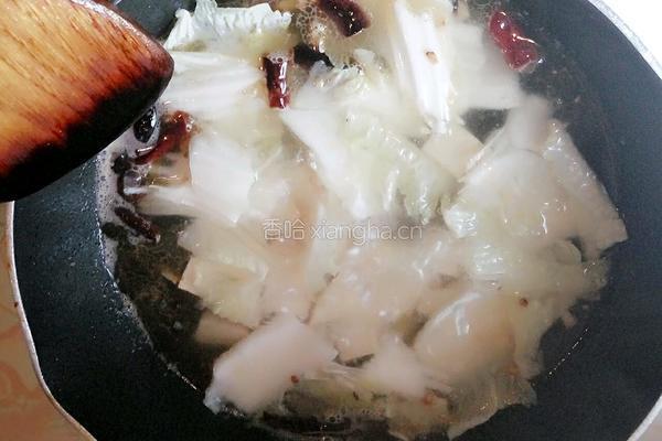 白菜豆腐汤的做法图解7