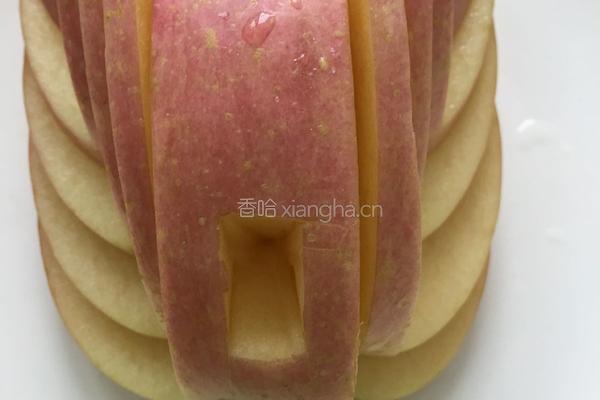 准备起飞的红天鹅的做法图解9